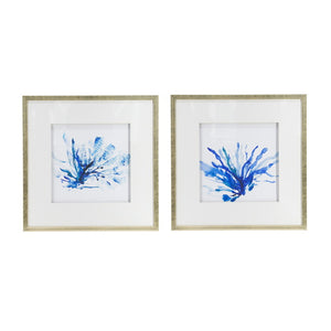Set of 2 Blue Seaweed Framed Prints