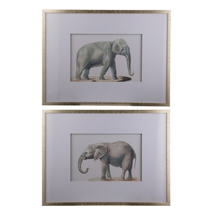 Set of 2 Elephant Framed Prints-Find It Style It Home
