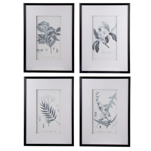 Set of 4 Flora &amp; Fauna Framed Prints