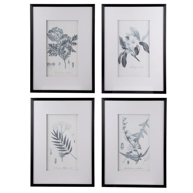 Set of 4 Flora & Fauna Framed Prints