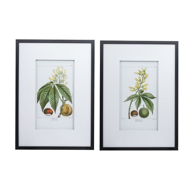 Leaves Flowers & Fruit set of 2 Wall Art-Find It Style It Home