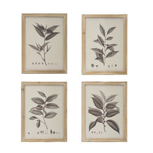 Botanical Wall Décor set of 4-Find It Style It Home