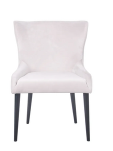 York Black Dining Chair - Silver Velvet-Find It Style It Home